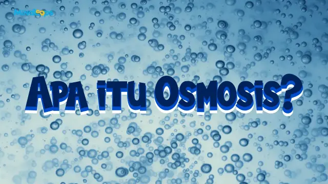Apa itu Osmosis?