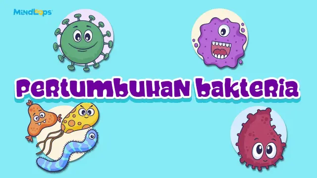 Pertumbuhan Bakteria