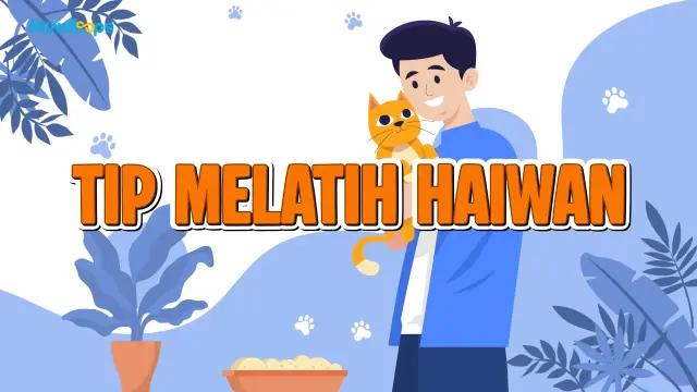 Tip Melatih Haiwan